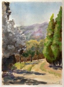 Camino-DP